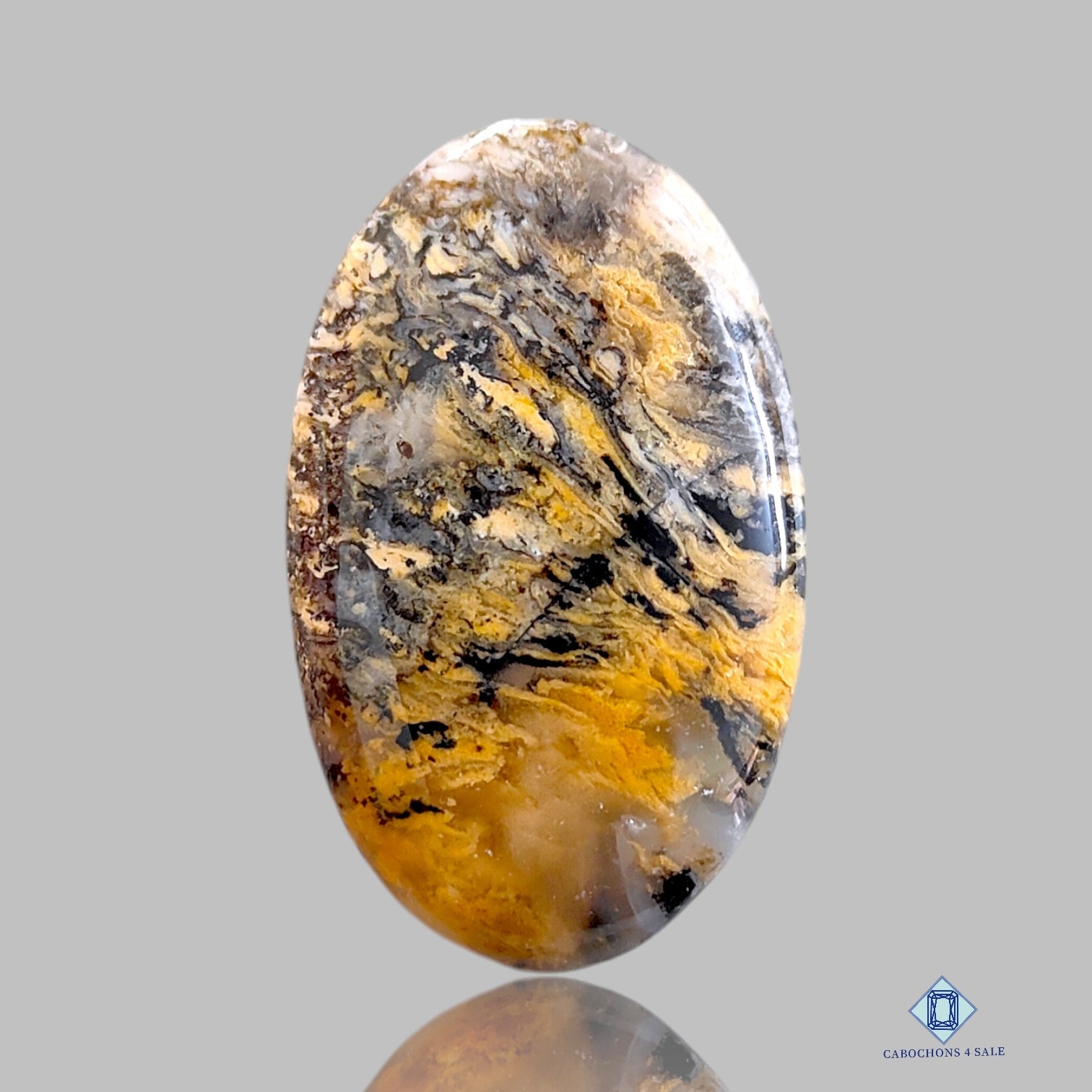 Tiger Dendritic Agate