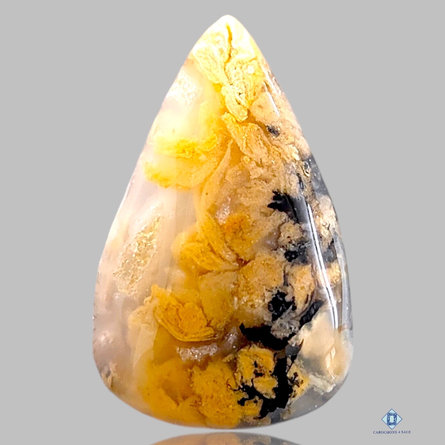 Tiger Dendritic Agate