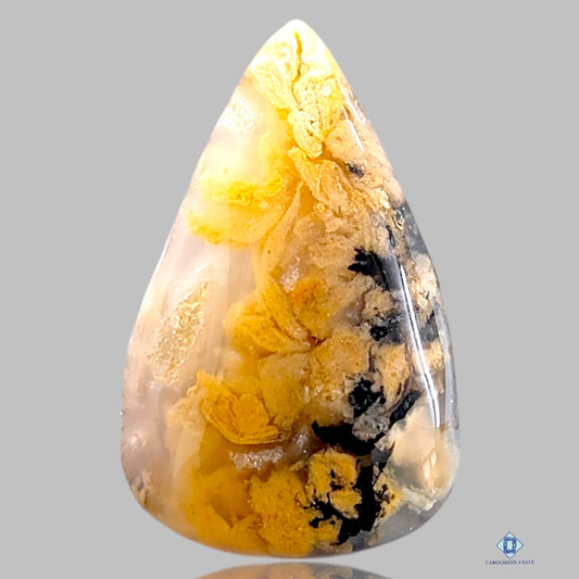 Tiger Dendritic Agate