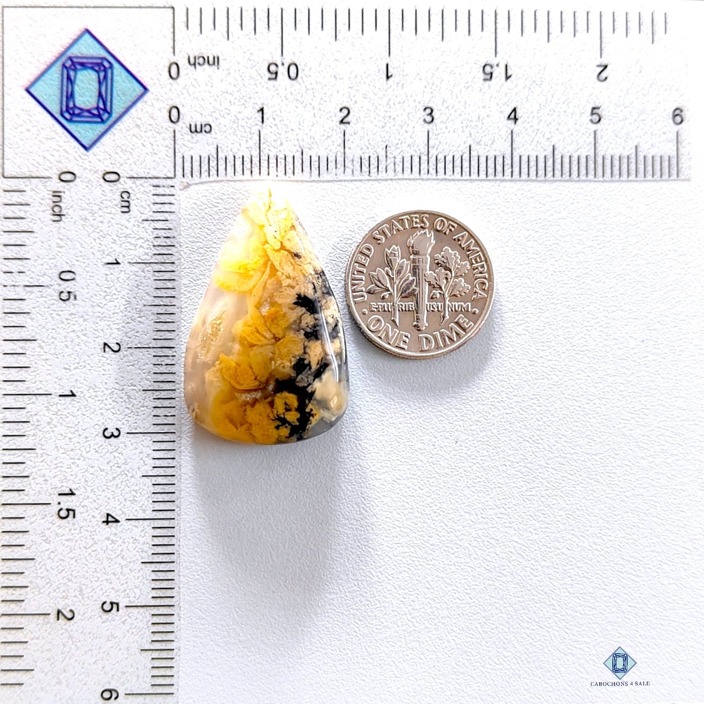 Tiger Dendritic Agate Pear Cabochons