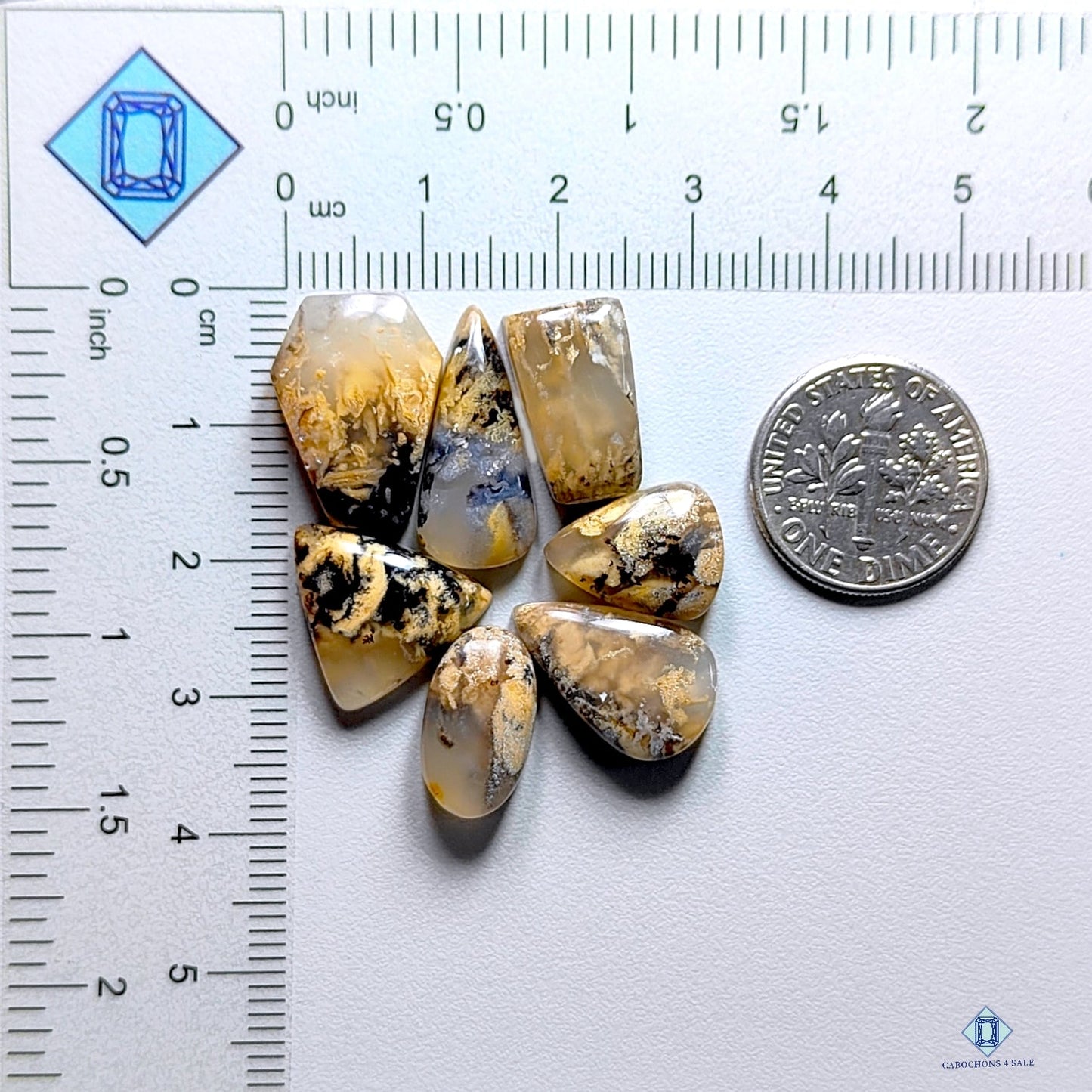 Tiger Dendritic Agate Mix Lots