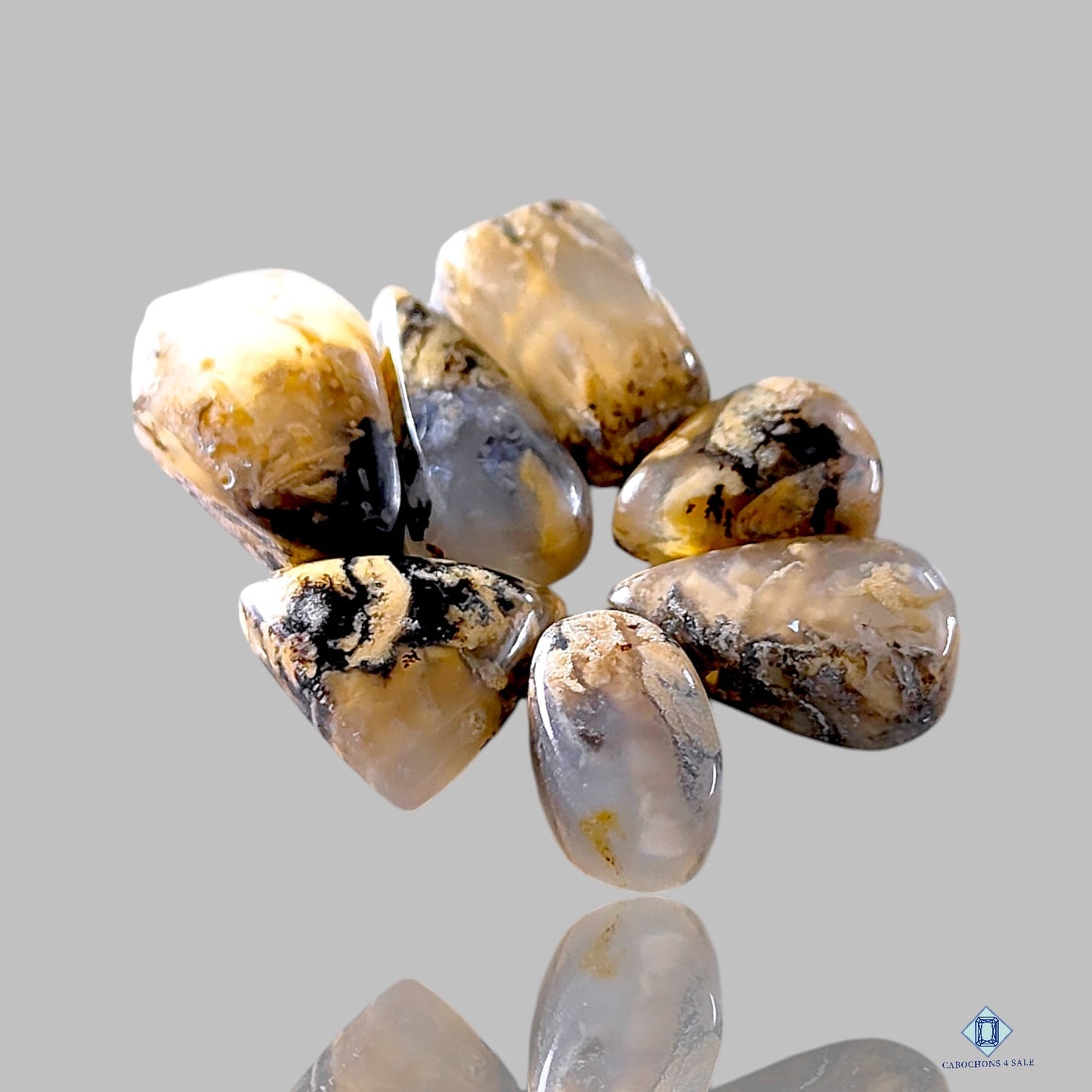 Tiger Dendritic Agate Mix Lots