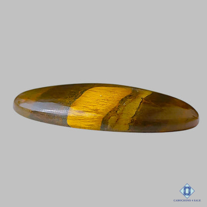 Tiger Eye