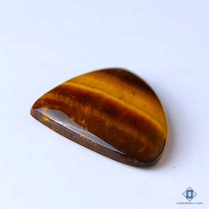 Tiger Eye