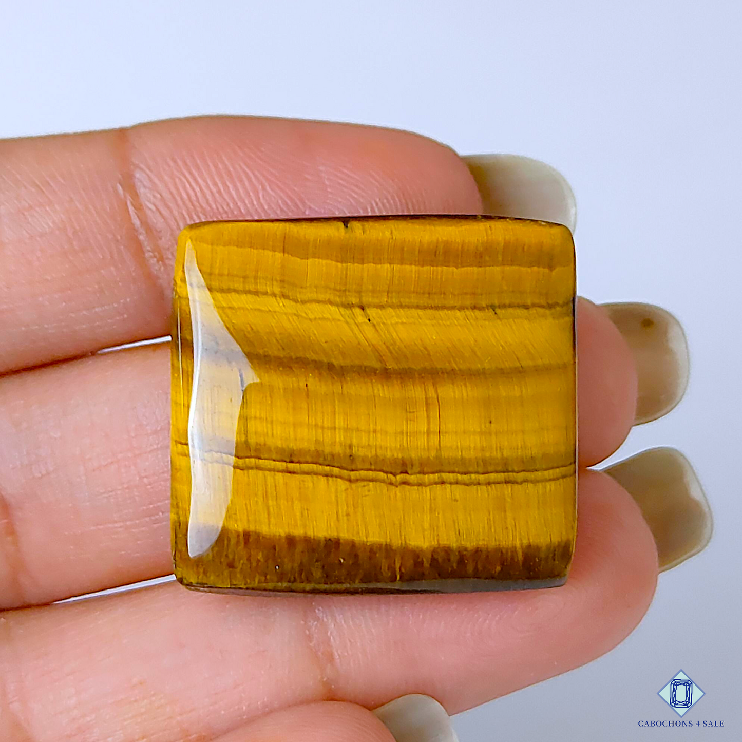 Tiger Eye
