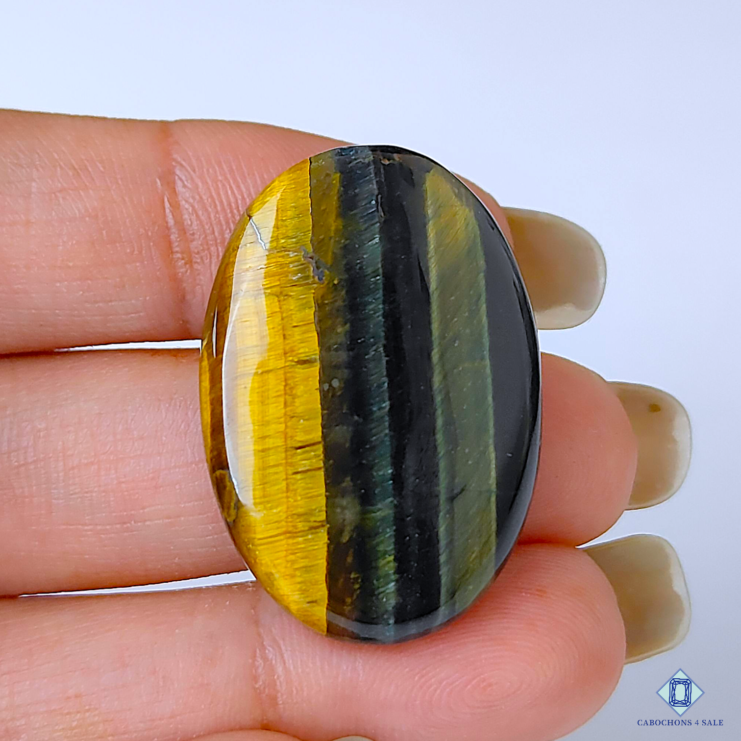 Tiger Eye