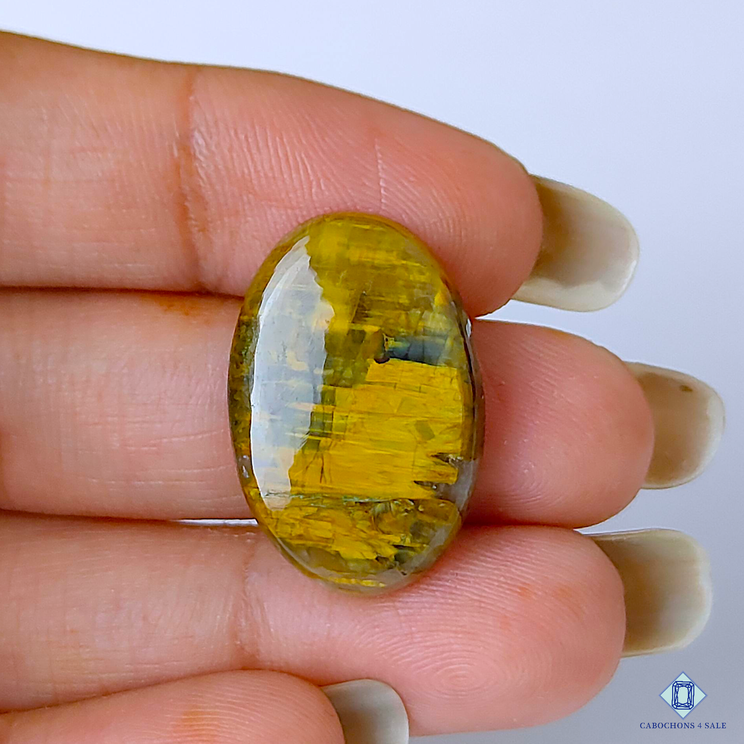 Tiger Eye
