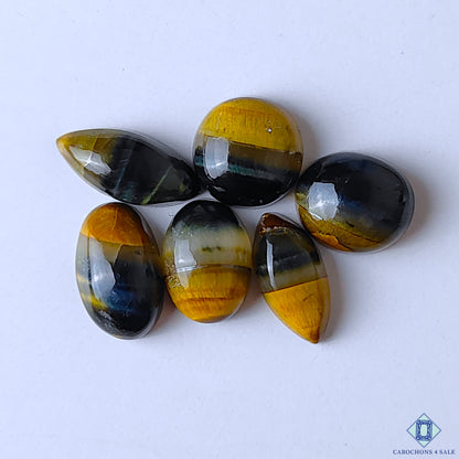 Tiger Eye