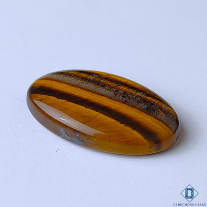 Tiger Eye