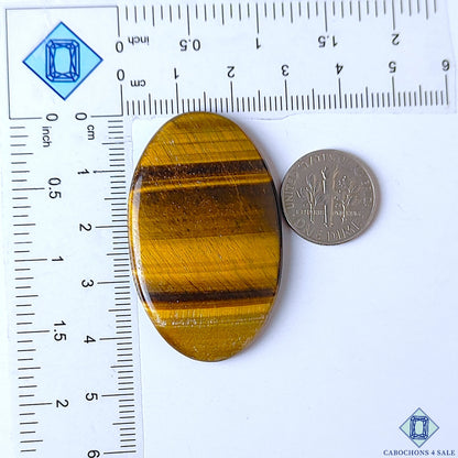 Tiger Eye
