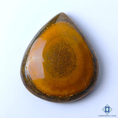 Tiger Eye