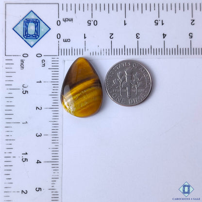 Tiger Eye