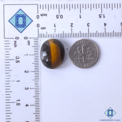 Tiger Eye