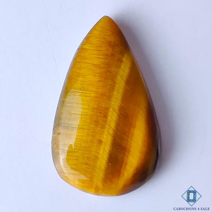 Tiger Eye