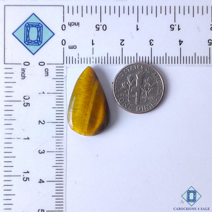 Tiger Eye