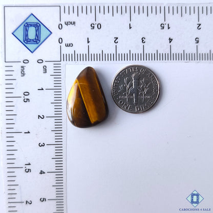 Tiger Eye