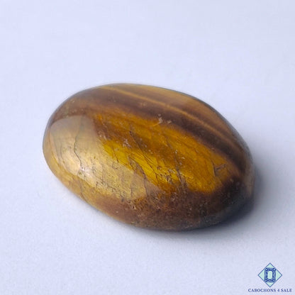 Tiger Eye