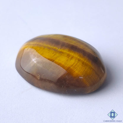 Tiger Eye