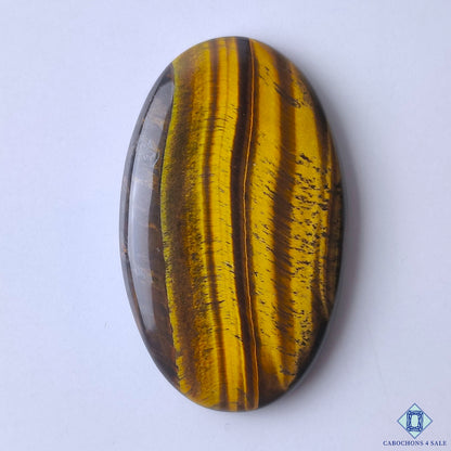 Tiger Eye