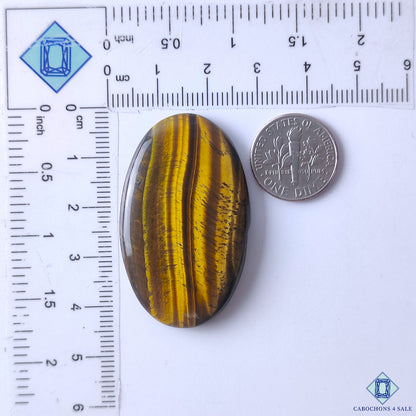 Tiger Eye