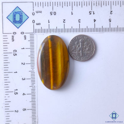 Tiger Eye