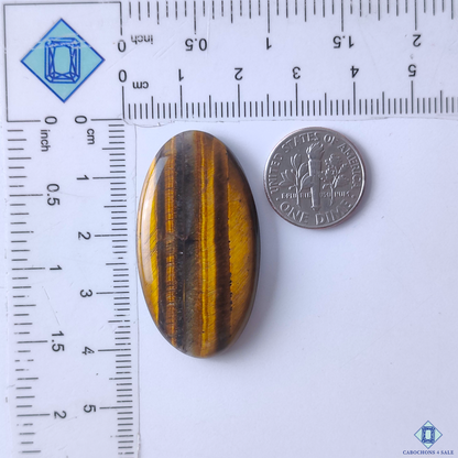Tiger Eye