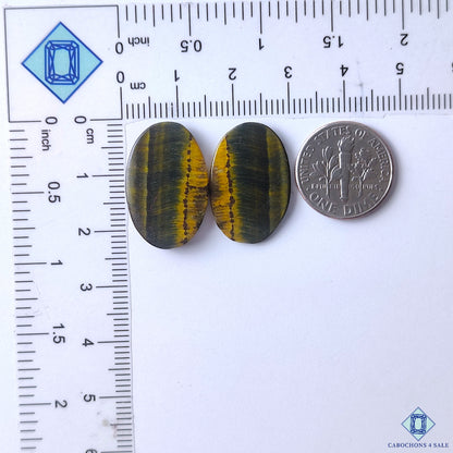 Tiger Eye