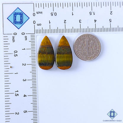 Tiger Eye