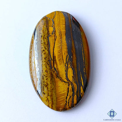 Tiger Eye