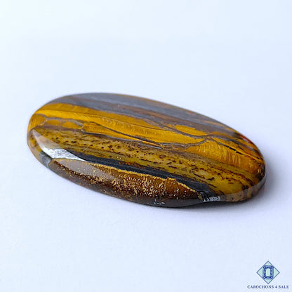 Tiger Eye