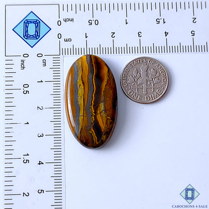 Tiger Eye