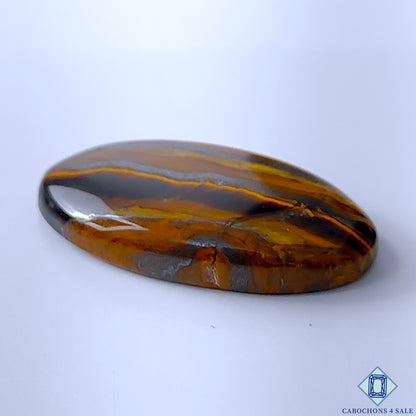 Tiger Eye