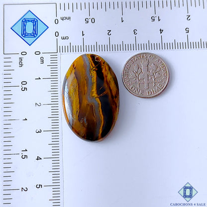 Tiger Eye