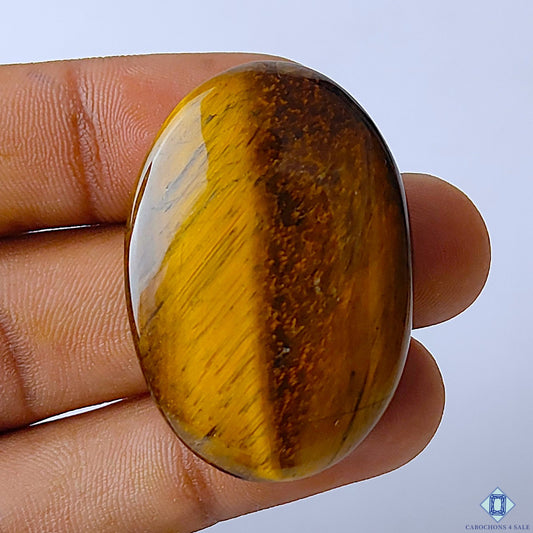 Tiger Eye
