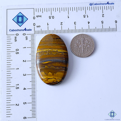 Tiger Eye