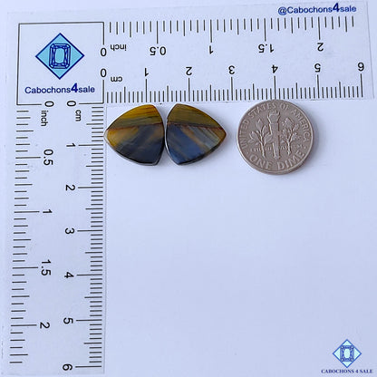 Tiger Eye