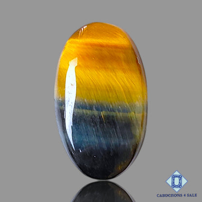 Tiger Eye