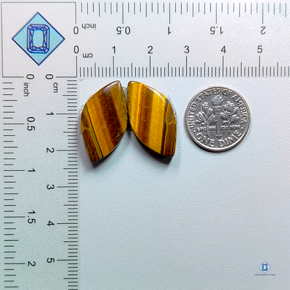 Tiger Eye-Fancy-cabochons