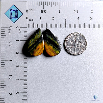 Tiger Eye Pear Pairs