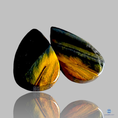 Tiger Eye Pear Pairs