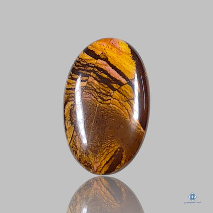 Tiger Eye Palm Stone