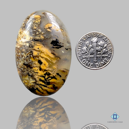 Tiger Dendrite Agate