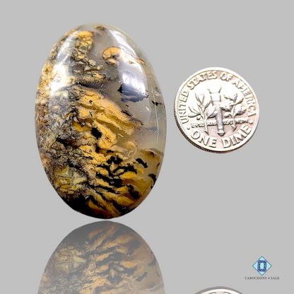 Tiger Dendrite Agate