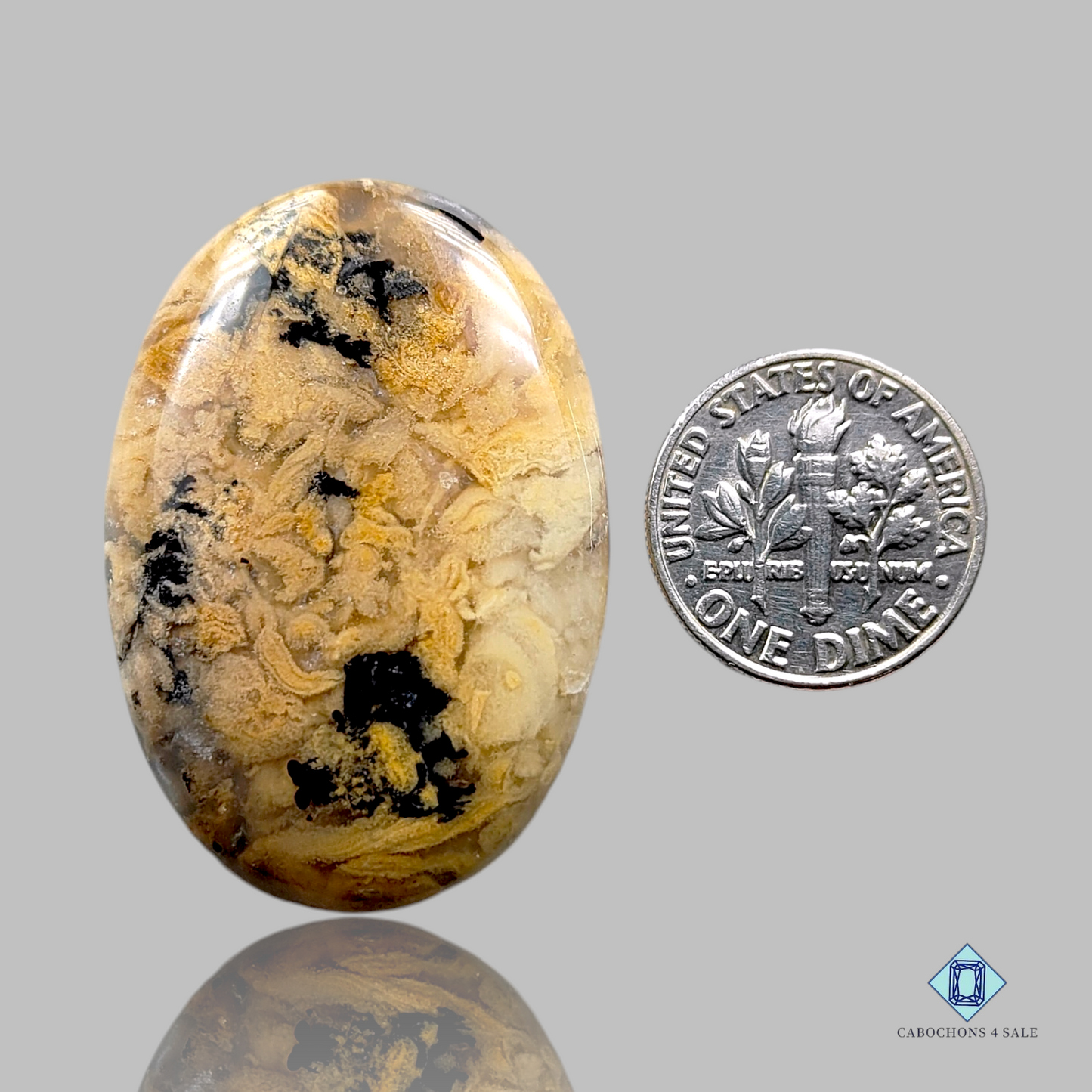 Tiger Dendrite Agate