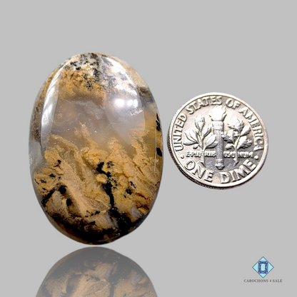 Tiger Dendrite Agate