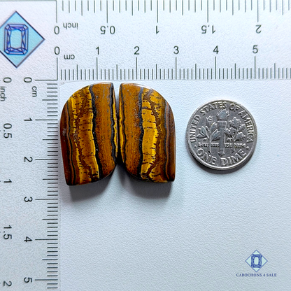 Tiger  eye