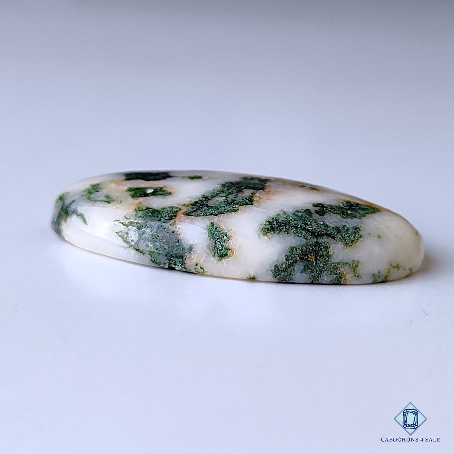 Tree Agate