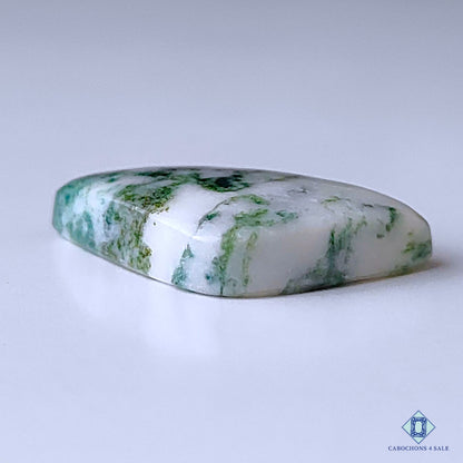 Tree Agate