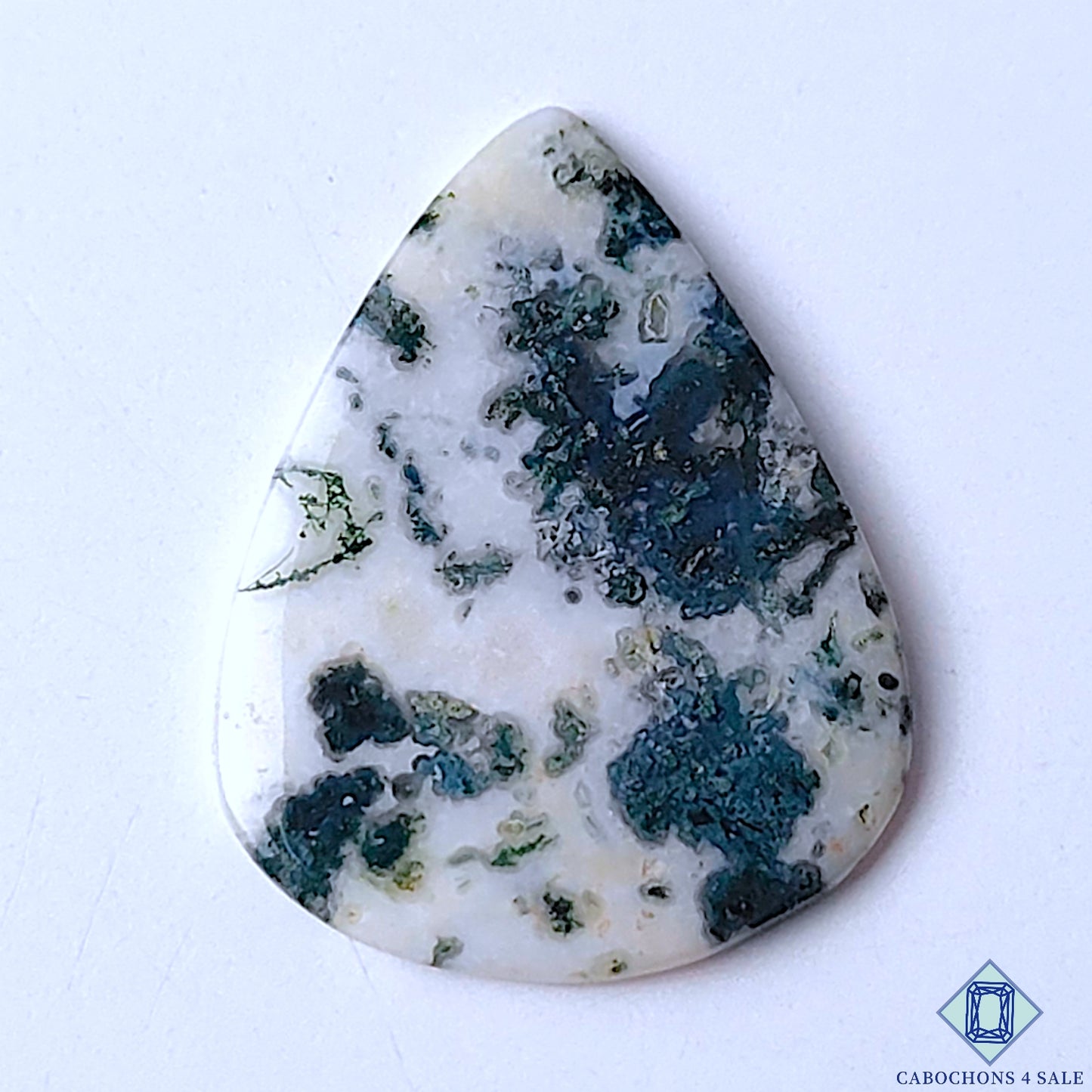 Tree Agate