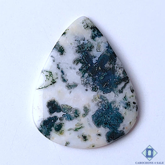 Tree Agate